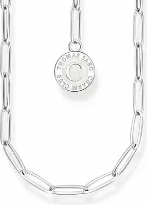 A silver necklace with a circular charm.