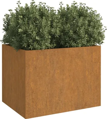 A rectangular planter filled with green foliage, set against a white background.