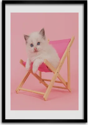 Produktbild von Bild - Bilderrahmen - 50 cm x 70 cm - MDF - Rahmen - Wandkunst Katze auf einem Liegestuhl