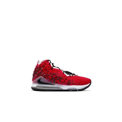 Produktbild von Nike Schuhe Lebron Xvii, BQ3177601, Größe: 43