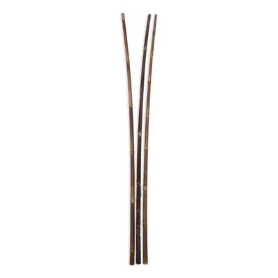 Obrázek produktu pro Java black dekorační tyč Ø 3-4 -200 cm