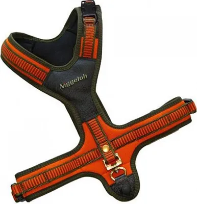 A dog harness is shown against a white background.