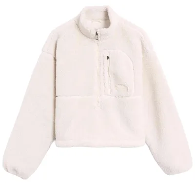 Image de Veste The North Face NF0A88ZCQLI1 pour Uni