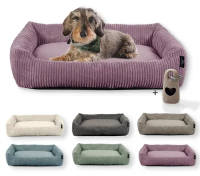 Produktbild von Rohrschneider Hundebett waschbar für kleine und mittelgroße Hunde mit Hundekissen Cord inkl. Gassibeutel, Farbe:altrosa, Muster:Cordstoff breit