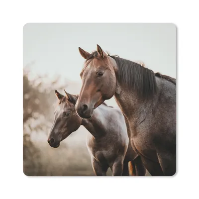 Produktbild von MuchoWow® Mauspad Mousepad Pferde - Natur - Braun 20x20 cm - Mousepads - Maus Mat - Pad - Mausunterlage - Desk Mat - Bureauartikeln