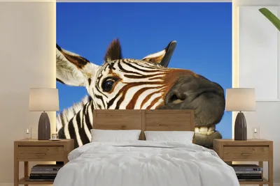 Produktbild von Kinderzimmer-Zebra-Fotobanner - Grappig - Breit 220 cm x hoch 220 cm