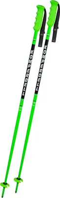 Produktbild von KOMPERDELL Nationalteam Kinder Skistöcke grün 110 cm