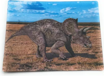 Produktbild von Onwomania Triceratops Dino Dinosaurier 9x7cm 3D Magnet Karte Kühlschrankmagnet Magnetbild Heftmagnet Grau