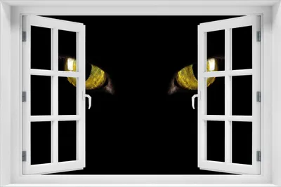 Produktbild von Wallario Poster mit Fenster-Illusion: Gelbe Katzenaugen bei Nacht, Größe: 61 x 91,5 cm (Maxiposter)