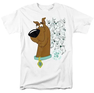 Image de T-shirt "Évolution de" Scooby-Doo, modèle unie pour hommes/femmes, référence TV38951 (4XL), couleur blanche