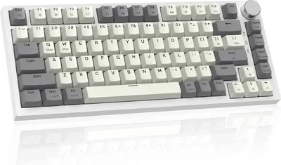 Produktbild von Magnetic Switch Mechanische Tastatur, Rapid-Trigger, Cloud Driver, LIGHTSYNC RGB-Backlit, QWERTY TKL 82 Tasten Wired Gasket 75% Gaming Tastatur