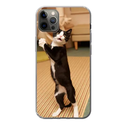 Produktbild von MuchoWow® Handyhülle Schutzhülle Hülle für iPhone 12 Pro Max Katze - Wohnzimmer - Schwarz Silikon Softcase Handy Hülle - Hartschale