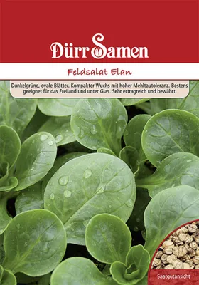 Produktbild von Dürr-Samen - Feldsalat Elan 250 g - Saatgut - 4108