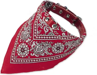Produktbild von Nobby Halsband mit Tuch L: 35 cm rot