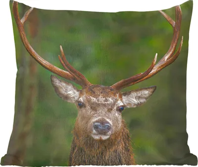 Produktbild von MuchoWow® Zierkissen Sofakissen Wohnzimmer Dekokissen 50x50 cm Hirsch - Geweih - Natur - Komfort - Sofakissen