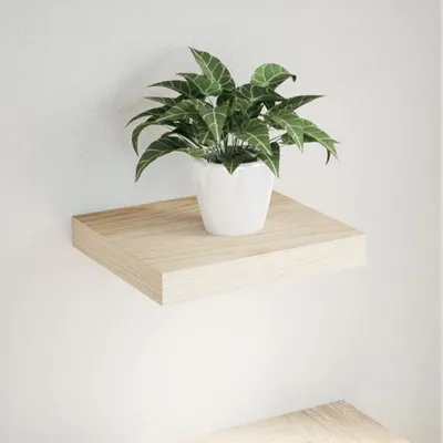 Produktbild von "im Angebot" Schweberegal 23x23,5x4 cm Holzwerkstoff - Wandregale CC17890