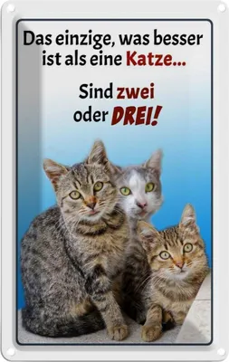 Produktbild von vianmo Blechschild 30x20 cm einzige was besser ist als Katze Tier Haustier