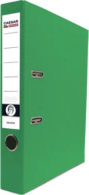 Immagine prodotto di Cartella a leva Senatore, cartone, dorso 5 cm, verde