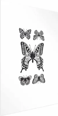 Produktbild von Posterpapier Poster - Five Butterflies 21x30 cm Tiere g-B-0118-ao-a