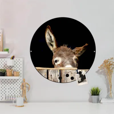 Produktbild von Design Stahlmagnettafel Schwarz Rund 47cm Esel