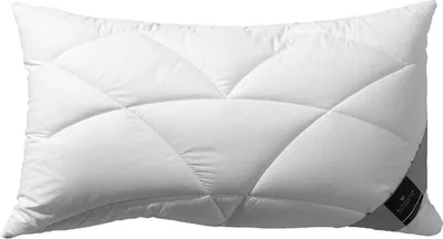 Produktbild von Billerbeck Exclusiv Faser 120 Climatraum  40 x 80 cm