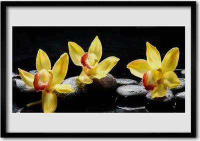 Produktbild von Bild 100x70 MDF-Rahmen Wandkunst Blume Orchidee Pflanze