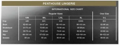 Immagine prodotto di PENTHOUSE LINGERIE Troppo caldo per essere vero S/M marcio
