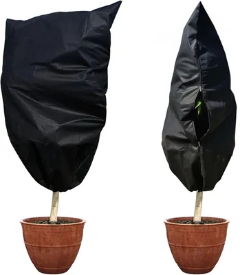 Produktbild von Pflanzenschutz Winter, 2 Stück, 180 x 120 cm, Frostschutz für Olivenbaum und Palmen