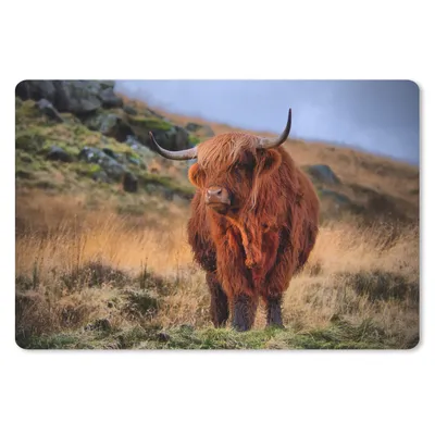 Produktbild von MuchoWow® Schreibtischunterlage Schottische Highlander - Gras - Steine 60x40 cm - XXL Mauspad - Großes Mauspad