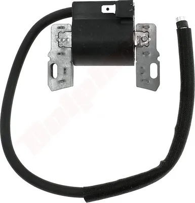 Image de Bobine d'allumage Pour Briggs & Stratton ( 490586 , 491312 , 492341 , 495859 , 690248 , 715231 )
