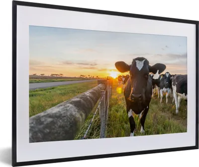 Produktbild von MuchoWow® MuchoWow® Gerahmtes Poster Kühe - Sonne - Zaun 60x40 cm - Poster mit zchwarzem Bilderrahmen - Schlafzimmer - Plakat in Rahmen - Drucken