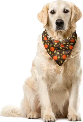 Image de ABAKUHAUS Bandana automnal pour animaux domestiques, motif saisonnier citrouilles, 40 x 40 cm, taupe et terre de Sienne brûlée