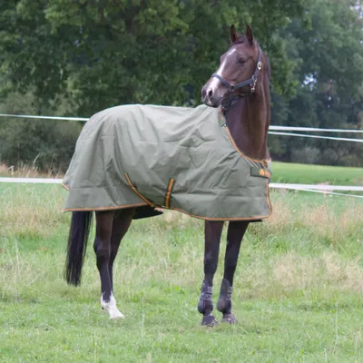 Produktbild von Bucas Irish Turnout Light 30g Big Neck Regendecke by Horseven