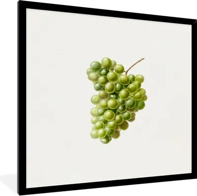 Produktbild von MuchoWow® Gerahmtes Poster Weintrauben - Obst - Grün 40x40 cm - Poster mit Schwarzem Bilderrahmen Wandposter Rahmen Foto Bilder - Mit Rahmen - Wanddekoration Schlafzimmer