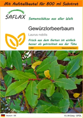 Produktbild von SAFLAX Garden in the bag - Gewürzlorbeerbaum - Laurus nobilis - 6 Samen - Mit Anzuchtsubstrat im praktischen, selbst aufstellenden Beutel