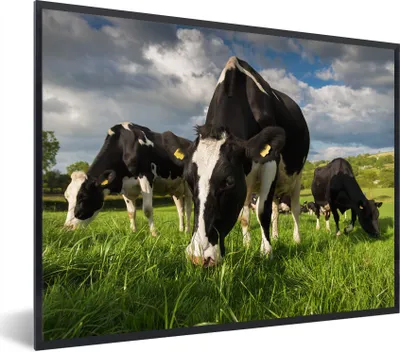 Produktbild von MuchoWow® Gerahmtes Poster Kuh - Natur - Gras - Tiere 80x60 cm - Poster mit Schwarzem Bilderrahmen Wandposter Rahmen Foto Bilder - Schwarzem - Mit Gestell