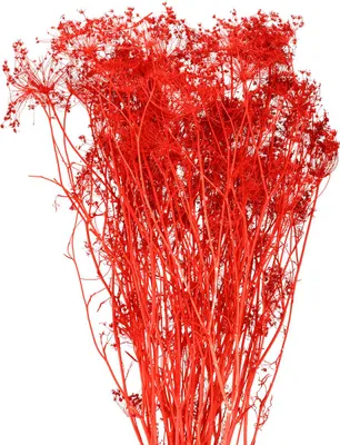 Produktbild von Eleganter Trockenblumen-Strauß für Dekoration und Hochzeitsideen