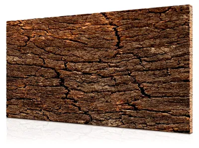 Produktbild von 3D Korkrückwand aus einem Stück Korkrinde 60x30 cm | gereinigt und desinfiziert | Naturkork-Rückwand für Terrarium, Paludarium, Aquarium