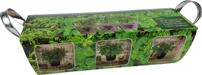 Produktbild von Starterset Komplettset Kräutertöpfe 3er Set Holz mit Saatgut Thymian Basilikum Petersilie und Nährmedium ideal als Kräutergarten