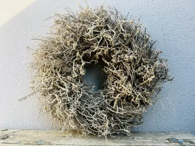 Produktbild von Natürliche Schönheit: Wilder Bonsai-Kranz aus Ästen in 28 cm und 48 cm – 48 cm Durchmesser / Beige