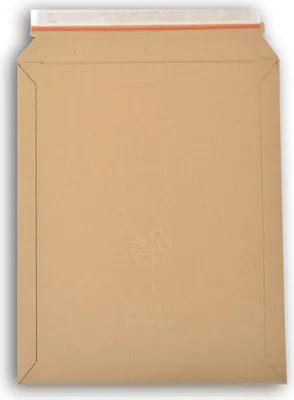 Image de Lot de 1000 enveloppes carton wellbox 6 format 292x374 mm