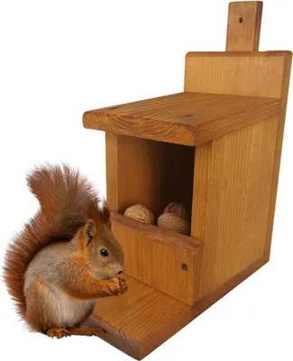 Produktbild von HolzGarden Eichhörnchen Futterstation aus Holz Wetterfest 19x45x32 cm Farbe Pinia Imprägniert Handgefertigt Zum Aufhängen