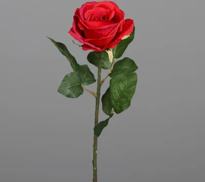 Produktbild von künstliche Rose mit Blättern H. 48cm rot DPI Kunstblumen