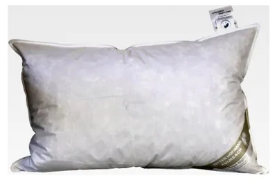 Produktbild von Kopfkissen 50/75 cm 600g Daunen
