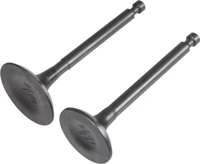 Obrázek produktu pro Ventily motoru Loncin LC1P75F ORIGINÁLNÍ DÍL 500550076-0001