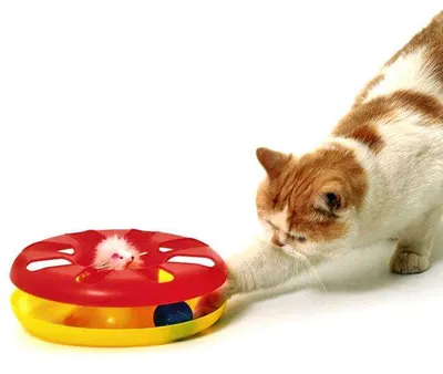 Image de Karlie Kitty Jouet ROUND ABOUT - 24 cm