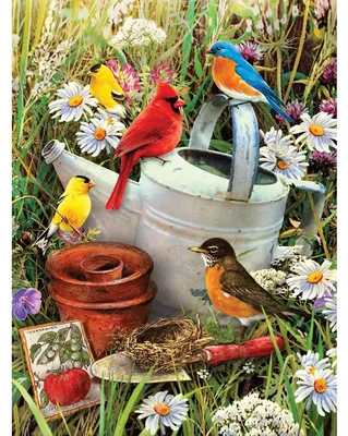 Produktbild von Malen nach Zahlen Junior  Vögel 33x24cm