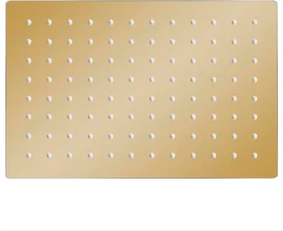 Obrázok produktu pre vidaXL Dážďová sprcha z nehrdzavejúcej ocele 30x20 cm obdĺžniková zlatá