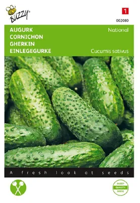Produktbild von Buzzy Einlegegurke National Kleine Groene