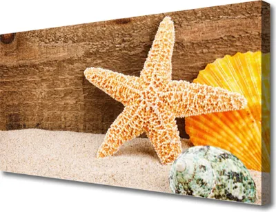 Produktbild von Tulup Leinwand-Bilder 100x50 Wandbild Canvas Kunstdruck Sand Seestern Muscheln Kunst